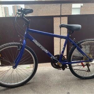 Project Bike (Blue Supercycle Mountain Bike)
